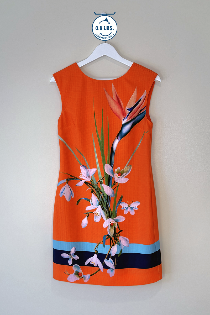 Ted Baker of London Floral Dress