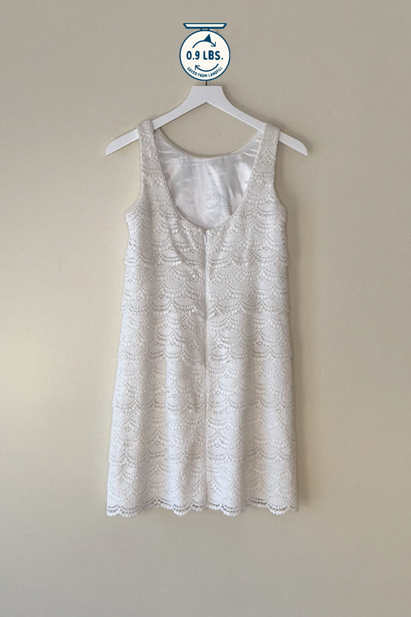 White House/Black Market Sleeveless Mini Dress