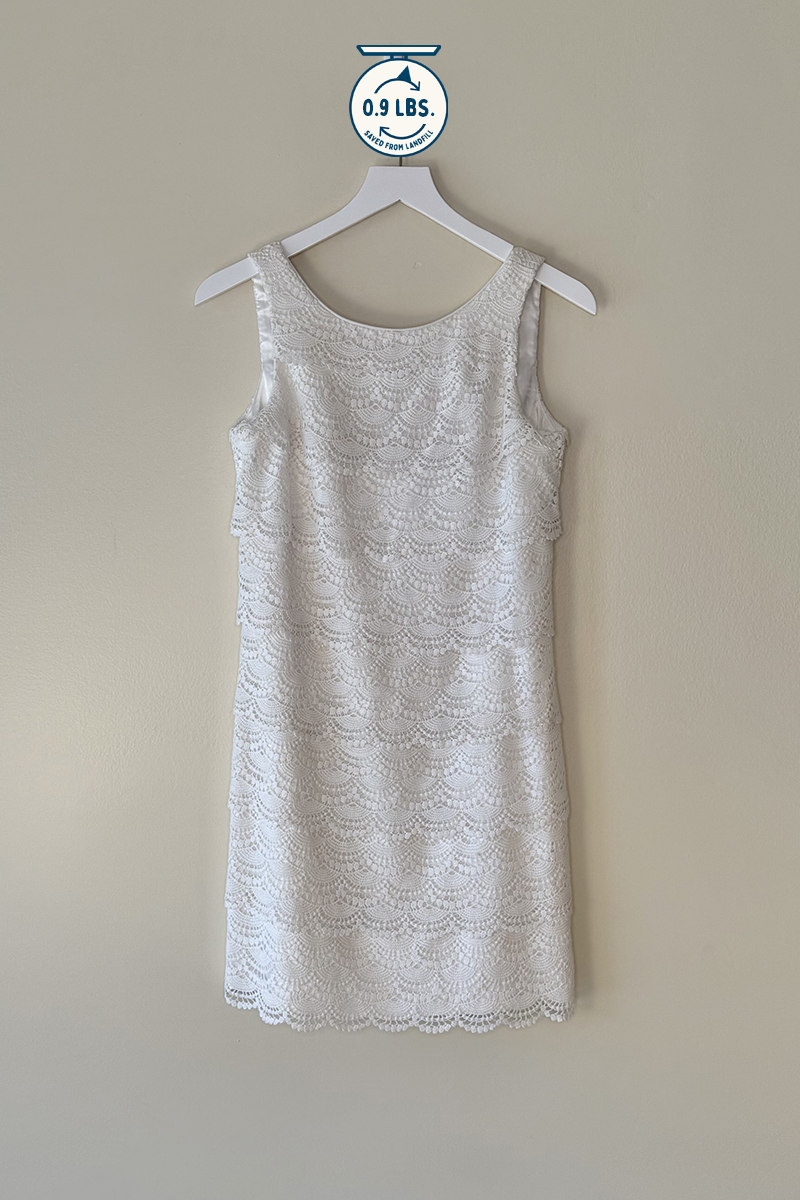 White House/Black Market Sleeveless Mini Dress